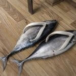 Fish shoes