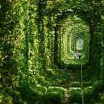 Tunnel of Love - Klevan, Ukraine