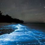 Električno plavo more