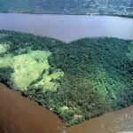 Srcolika ada u Orinoco rijeci u Venezueli