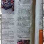 Članak u Kineskim novinama
