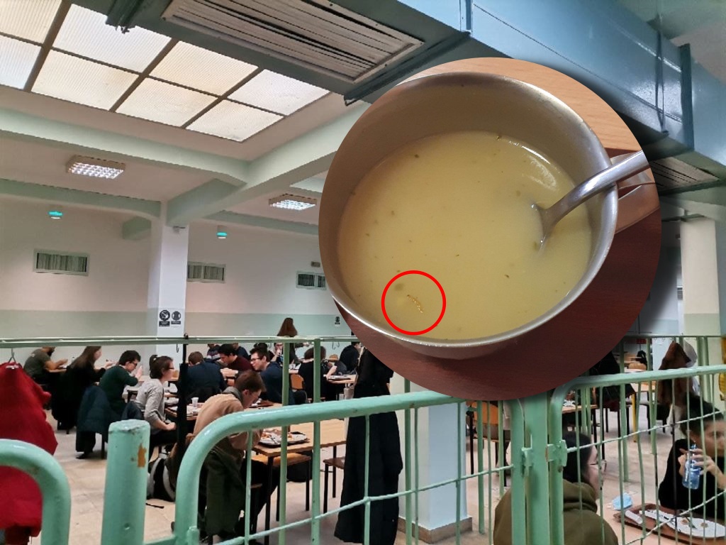 studentska menza u SC-u i slika juheu kojoj je crv
