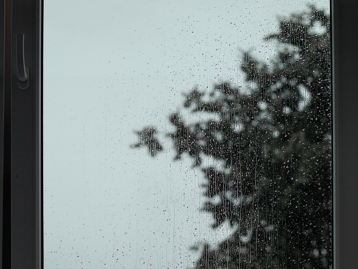 kiša na prozoru kroz koji se vidi krošnja stabla