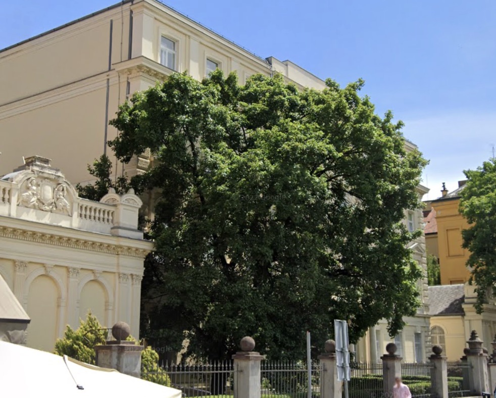 pogled na zgradu pravnog fakulteta u zagrebu na adresu Trg Republike Hrvatske 3