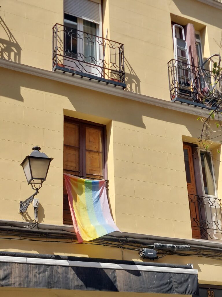 LGBT+ zastava