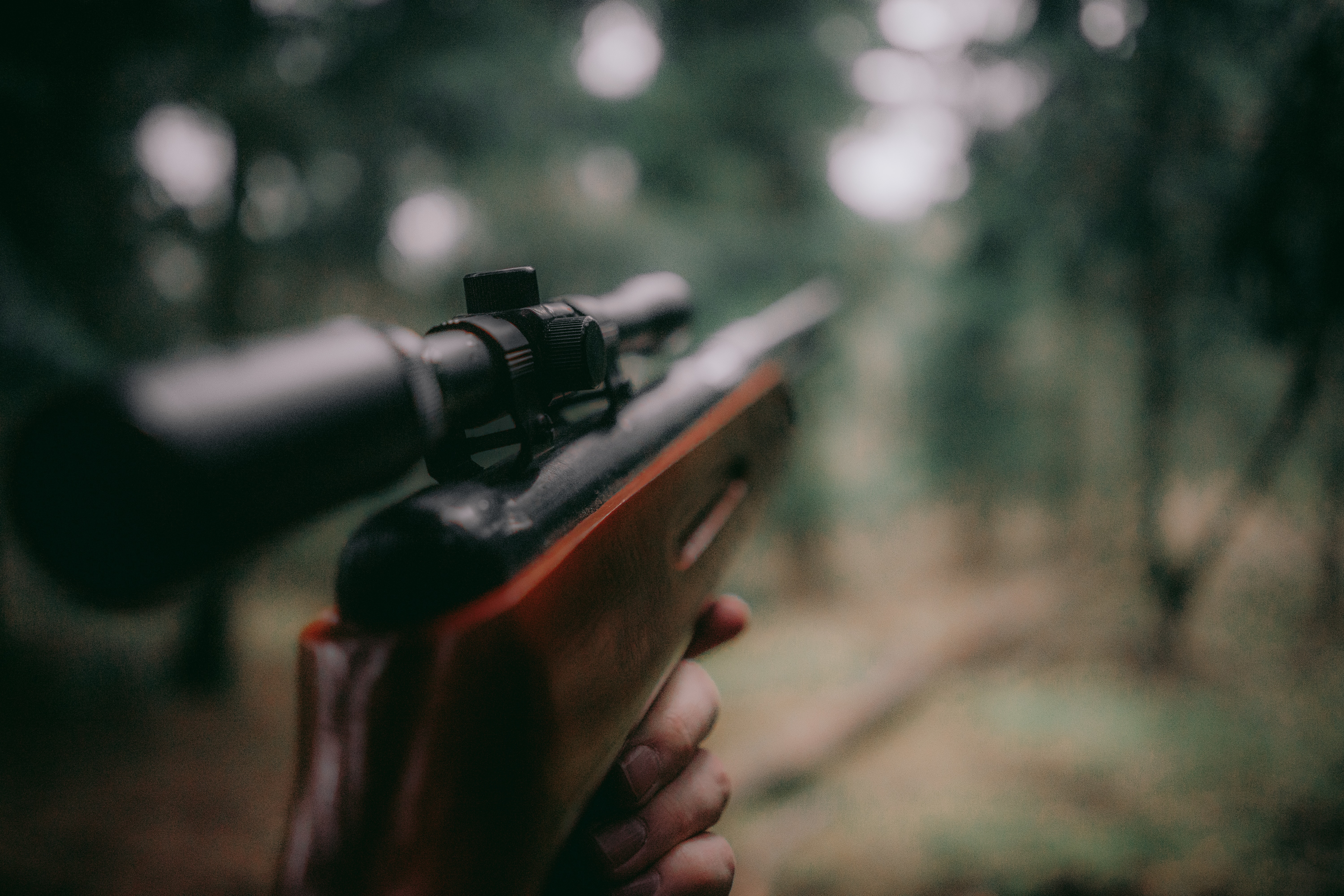 lovačka puška u šumi