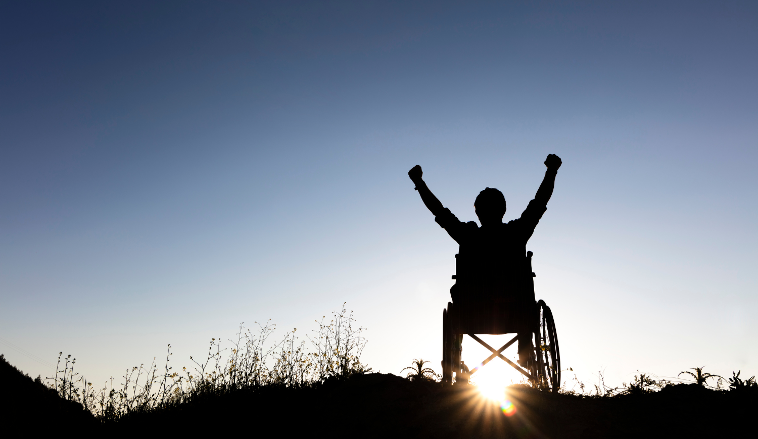 osoba u kolicima, invaliditet